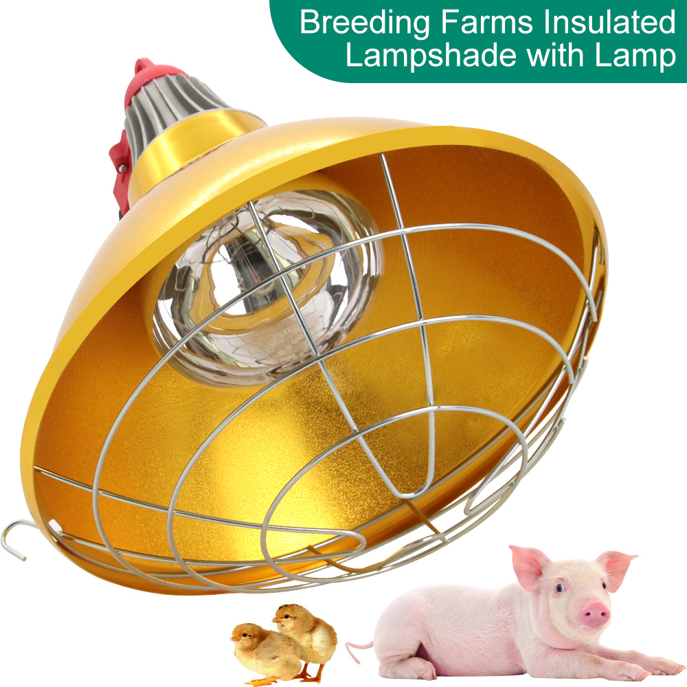 Farming Equipment For Agriculture - Livestock Pig Brood Warmer Heating Lamp