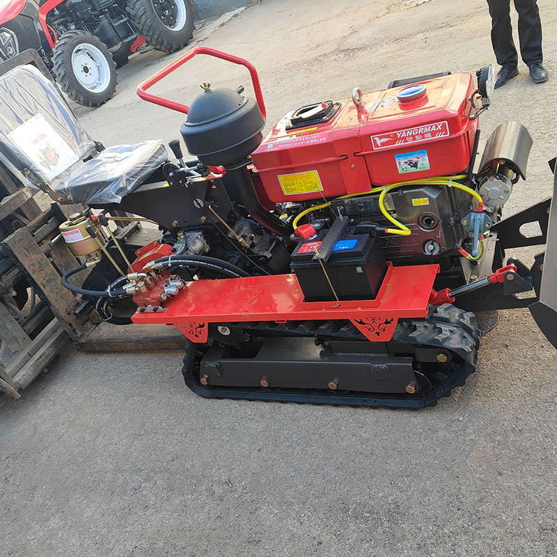 1-Year Warranty Compact Size C - Agriculture Farming Types review and price