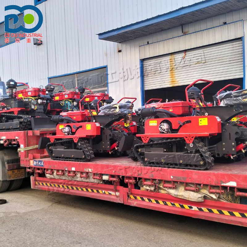 1-Year Warranty Compact Size C - Agriculture Farming Types review and price